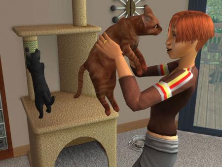 sims2 animaux et cie